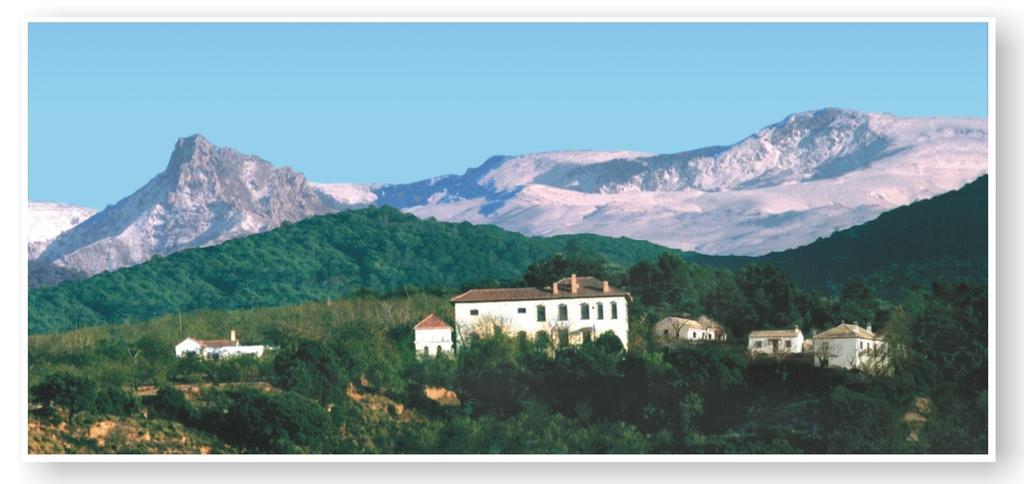 Апартаменты Cortijo Balzain Ла-Субия Экстерьер фото