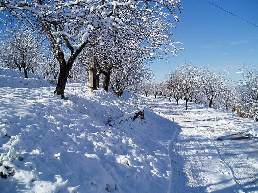 Апартаменты Cortijo Balzain Ла-Субия Экстерьер фото